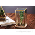 HandBlown Different Clear Glass Vase Terrarium Home